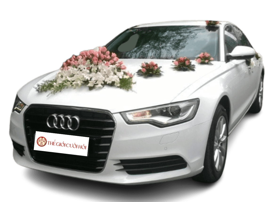 xe hoa audi