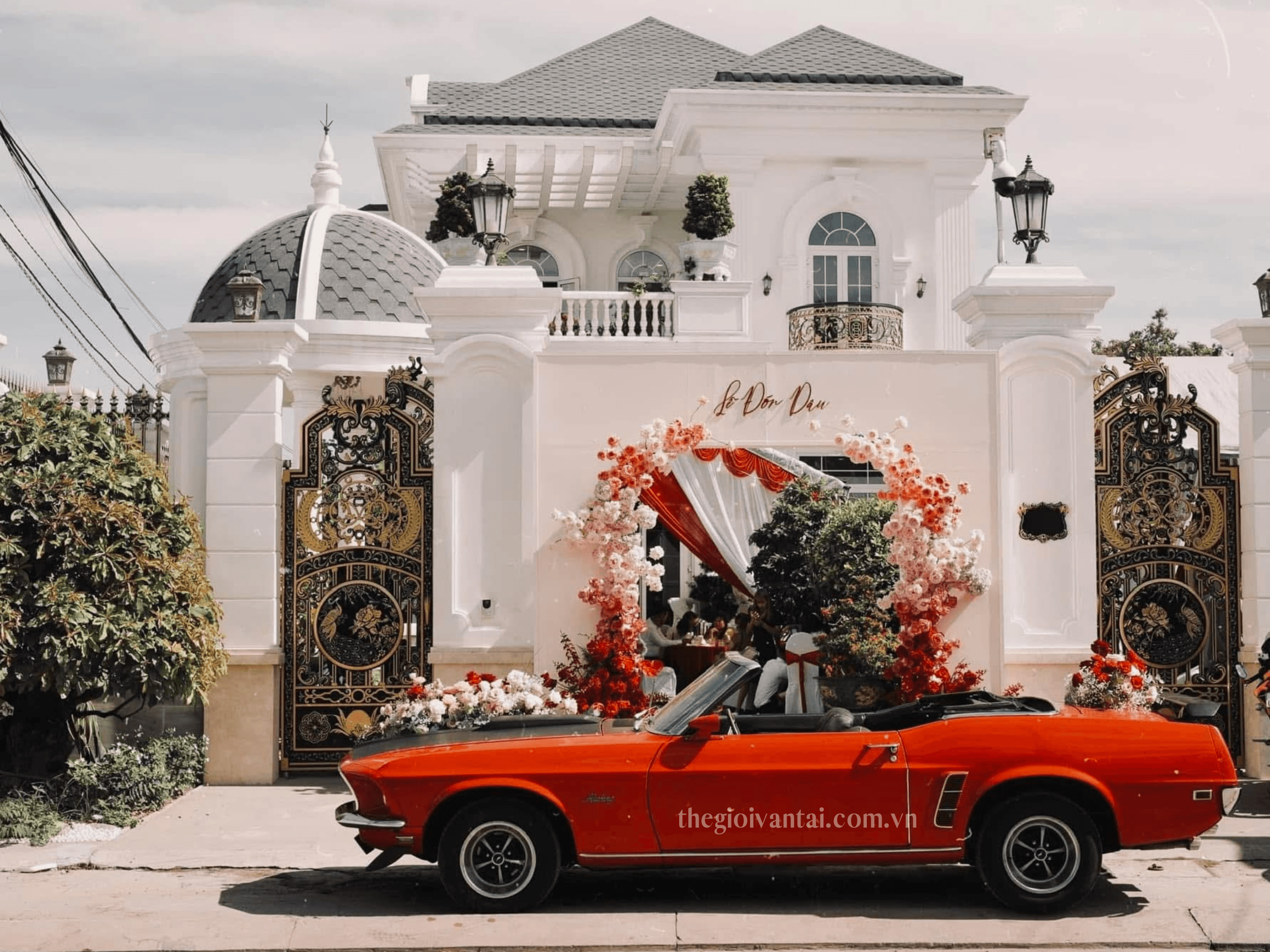Dịch vụ cho thuê xe mui trần màu đỏ – Thế Giới Vận Tải 4 Cho thuê xe cổ Mustang đám cưới