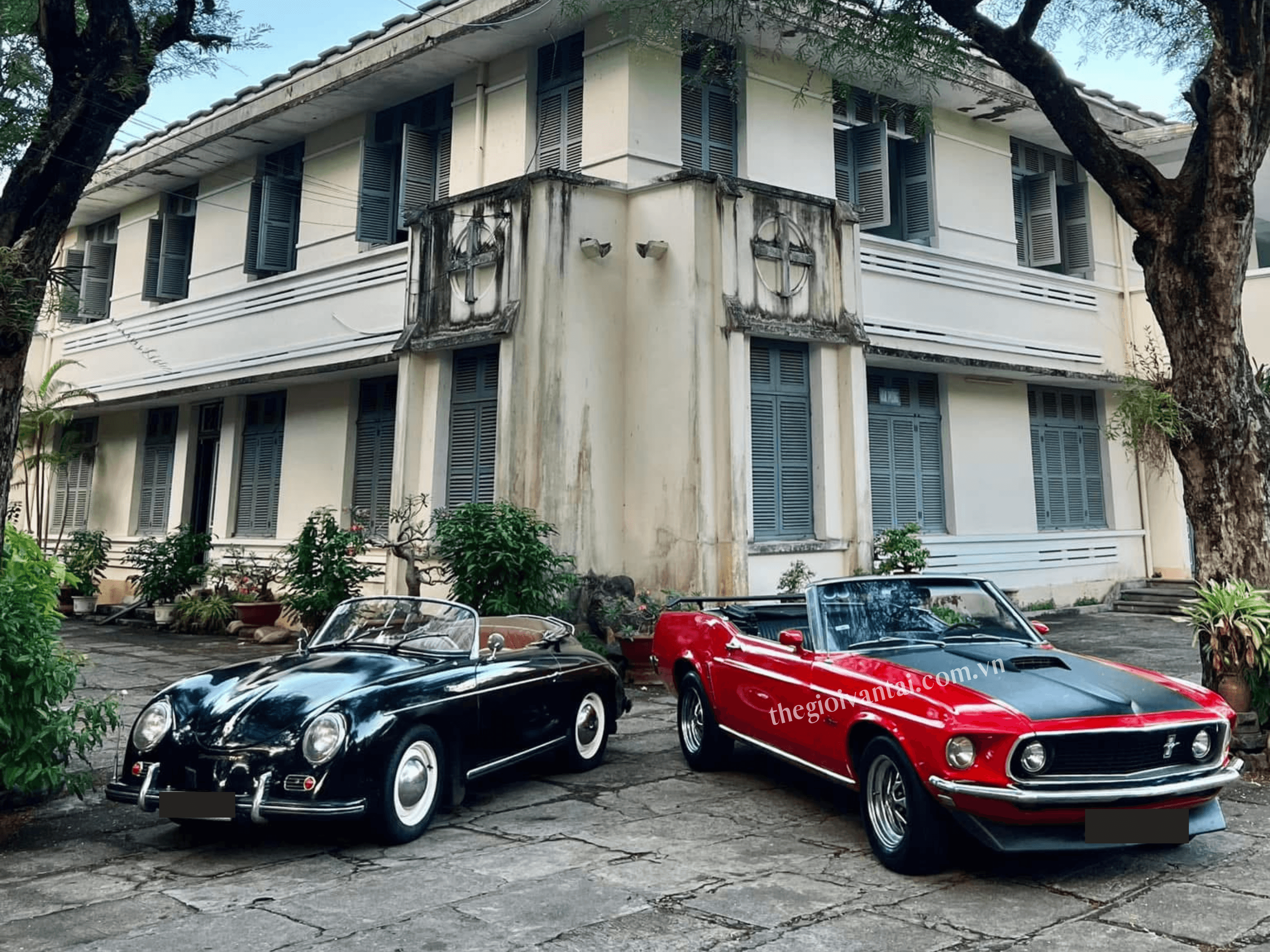 Cho thuê xe cổ Mustang