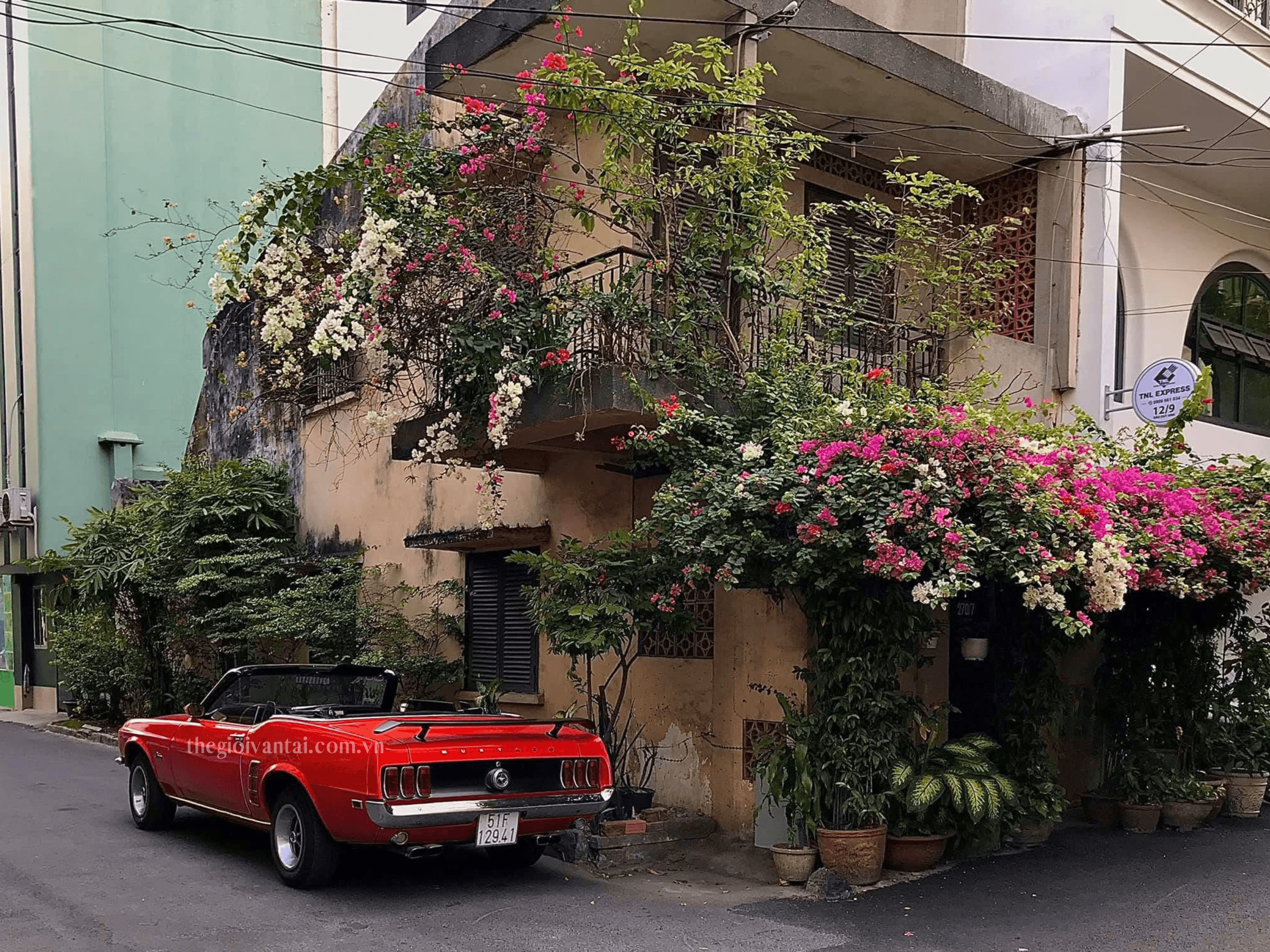 Dịch Vụ Cho Thuê Xe Cổ Mustang Chụp Ảnh, Cưới, Quay Phim – Biểu Tượng Của Sự Đẳng Cấp và Phong Cách 8 Thuê xe cưới cổ Mustang chụp ảnh cưới