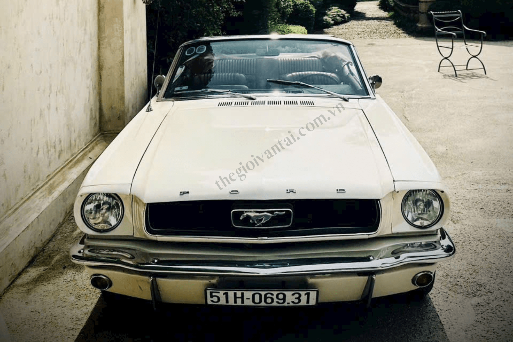 Dịch Vụ Cho Thuê Xe Cổ Mustang Chụp Ảnh, Cưới, Quay Phim – Biểu Tượng Của Sự Đẳng Cấp và Phong Cách 12 Thuê xe mustang