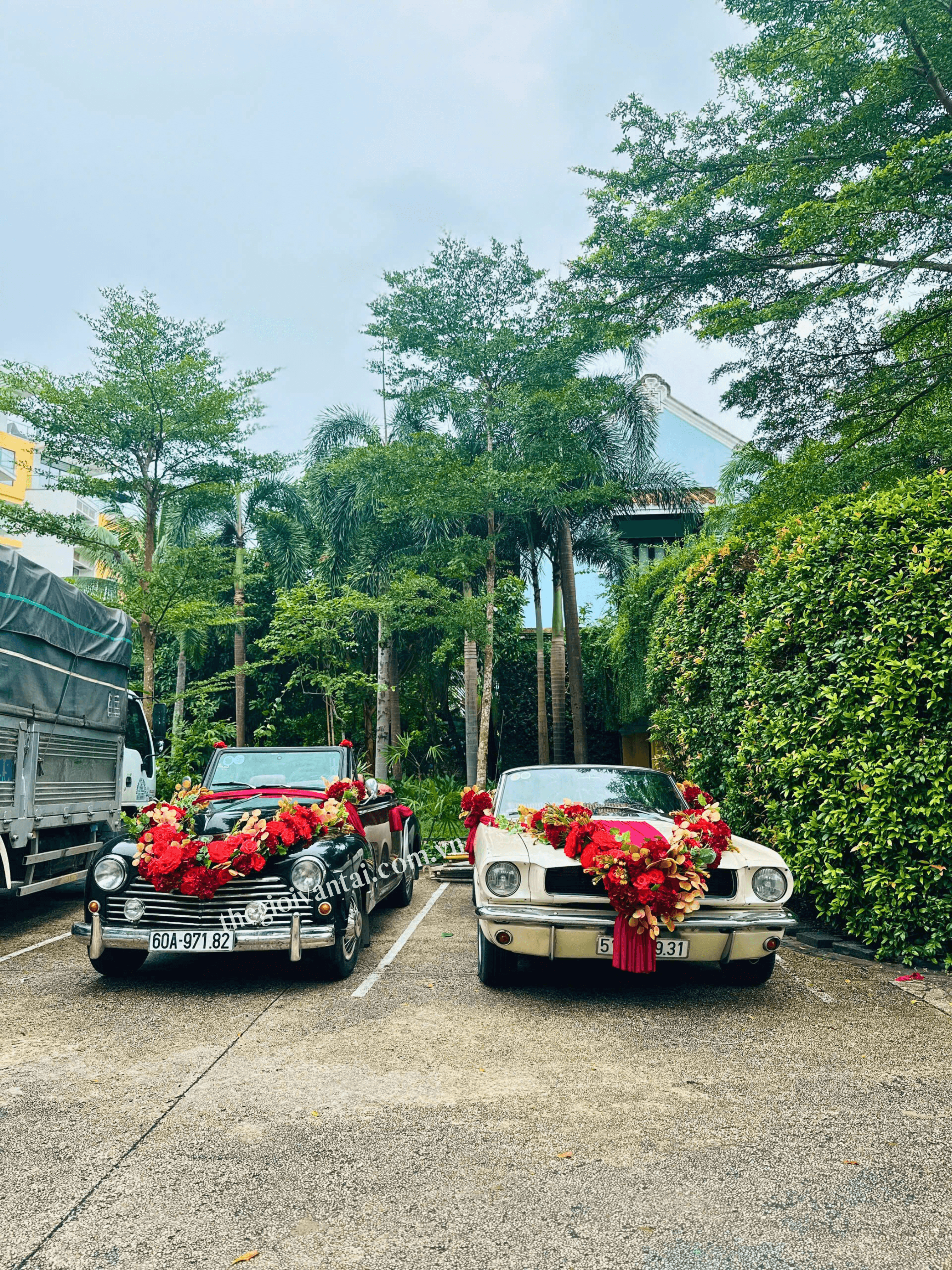 Dịch Vụ Cho Thuê Xe Cổ Mustang Chụp Ảnh, Cưới, Quay Phim – Biểu Tượng Của Sự Đẳng Cấp và Phong Cách 11 4